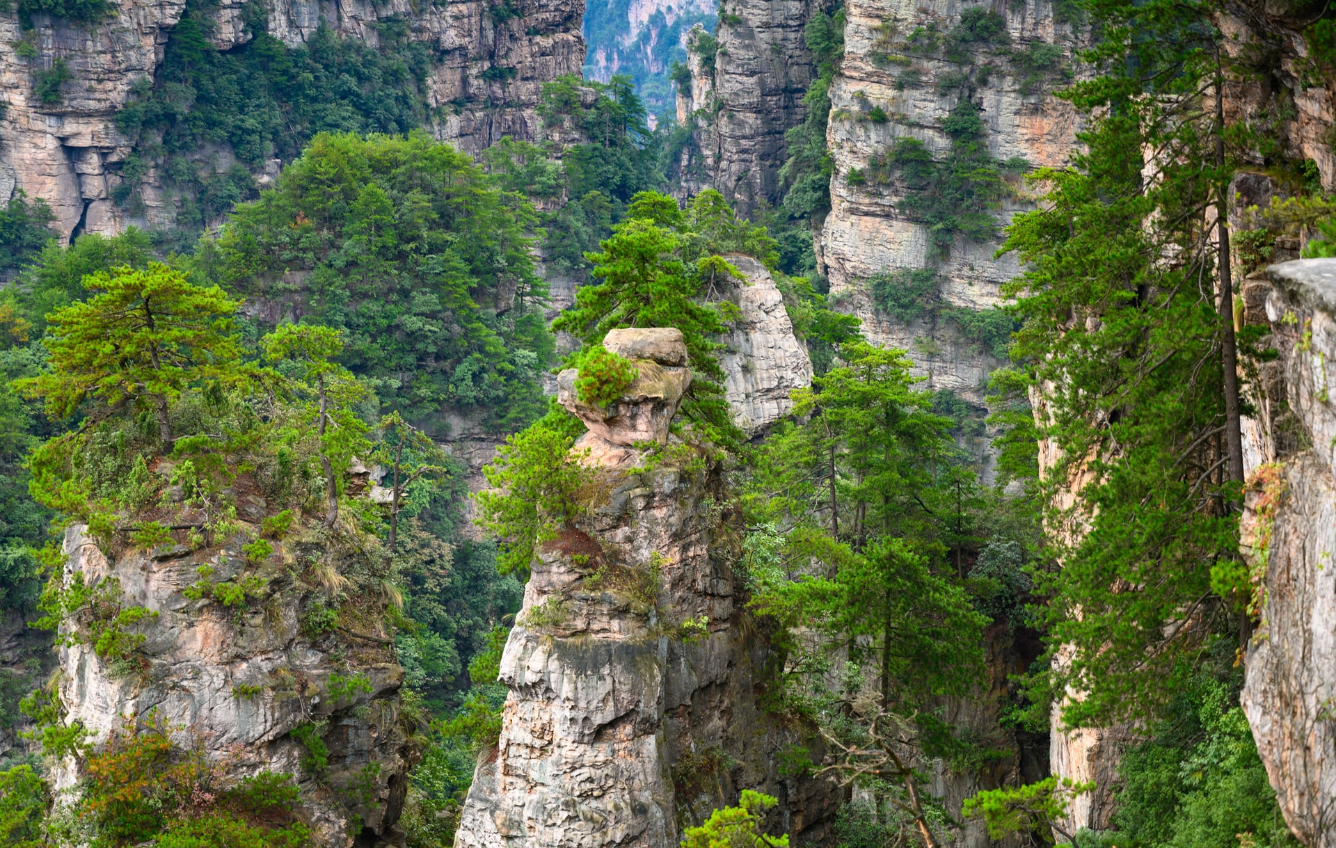 Sandstone pillars in Wulingyuan, Zhangjiajie